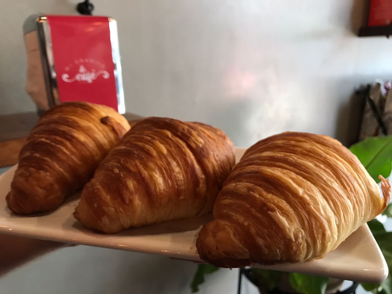 Familia de Croissants frescos
