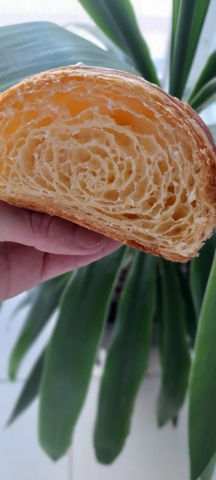Croissant esponjoso